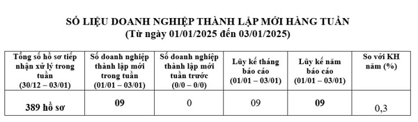 Số liệu doanh nghiệp thành lập mới từ 01/01/2025 đến ngày 03/01/2025