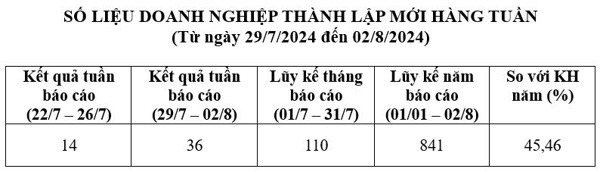 Số liệu doanh nghiệp thành lập mới từ 29/7/2024 đến ngày 02/8/2024