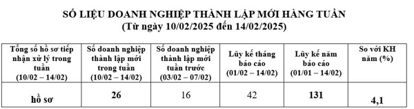 Số liệu doanh nghiệp thành lập mới từ 10/02/2025 đến ngày 14/02/2025