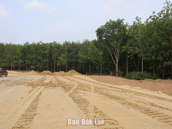 Thủ tướng yêu cầu Đắk Lắk hoàn thành thủ tục chuyển mục đích sử dụng rừng tại Dự án cao tốc Khánh Hòa – Buôn Ma Thuột trước 30/6/2024