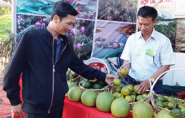 Tạo động lực mạnh mẽ để phát triển kinh tế tập thể