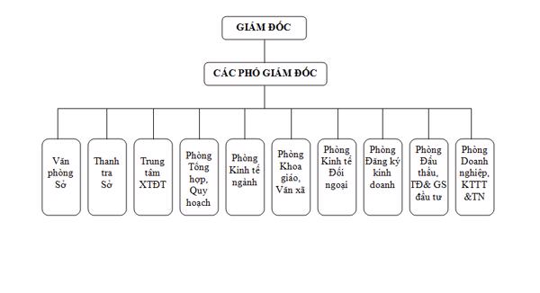 Sơ đồ tổ chức