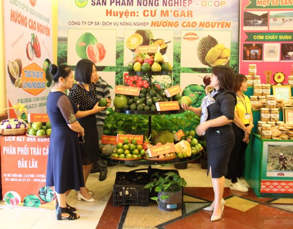 Họp báo Hội chợ nông nghiệp và sản phẩm OCOP khu vực Tây Nguyên tại Đắk Lắk năm 2019 