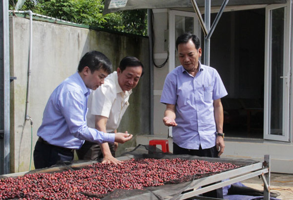 Nghị quyết 13 - NQ/TU của Đảng bộ tỉnh: Xung lực mới cho kinh tế tập thể
